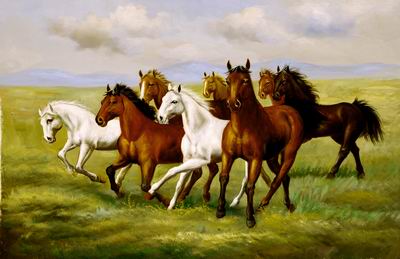 Horses 025